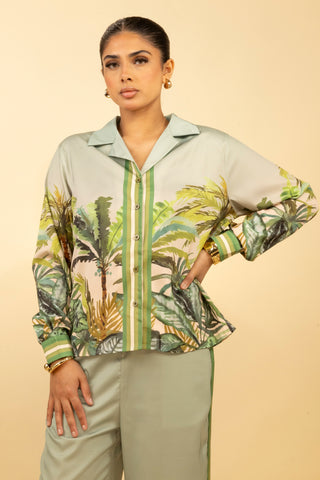 The Green Palmera Set