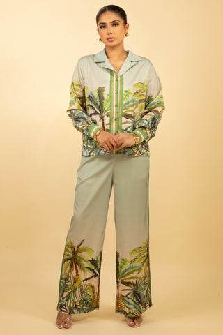 The Green Palmera Set